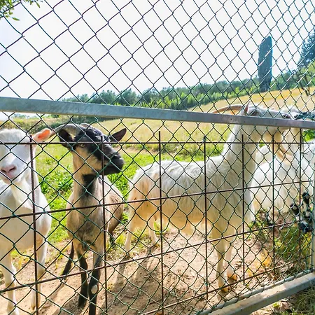 Prázdninový dům Il Podere By Interhome Lari